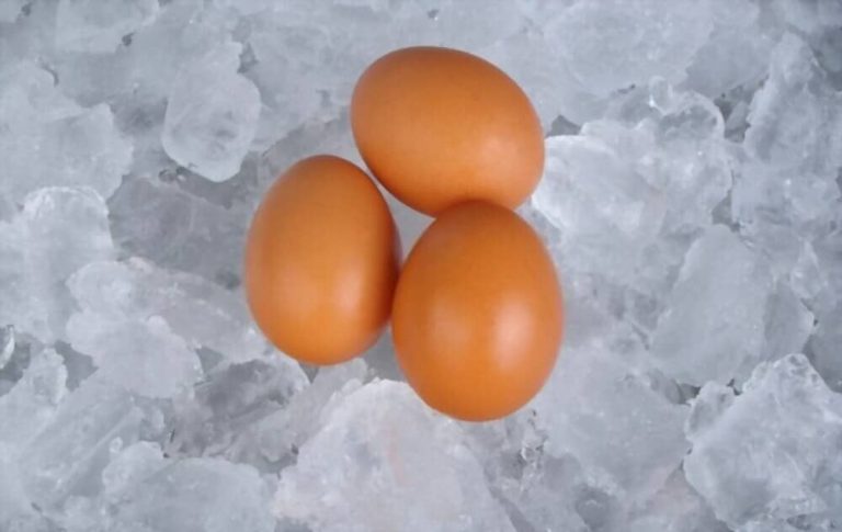 Congeler et décongeler des oeufs de poule : la méthode complète