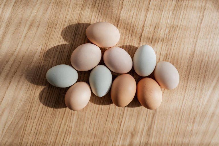 Ramasser et nettoyer les oeufs de poule : la bonne méthode