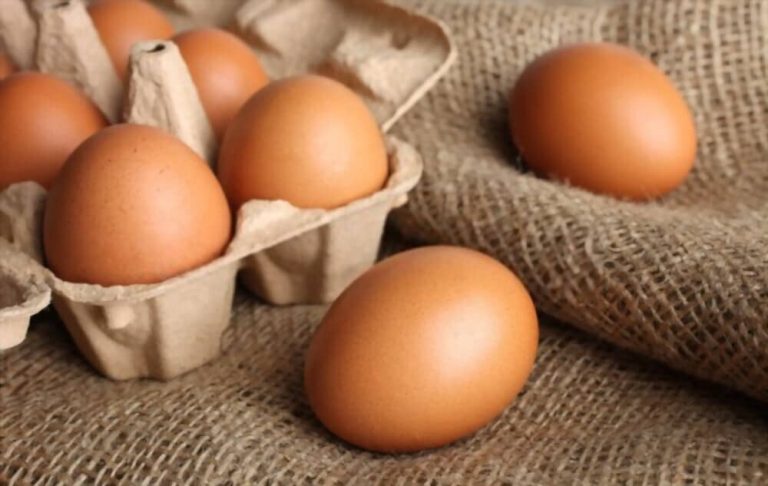 Conserver les oeufs du poulailler : durée, méthodes et astuces