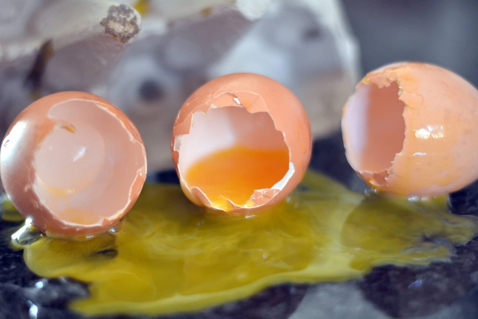 Poules qui mangent leurs œufs pourquoi et que faire