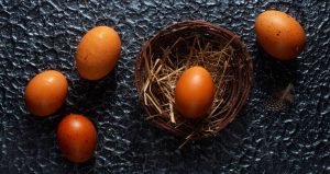 Lire la suite à propos de l’article Combien d’œufs une poule pond-elle ? Tout savoir