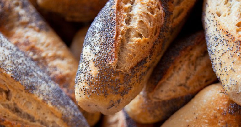 Donner du pain aux poules : quantité, risques et alternatives