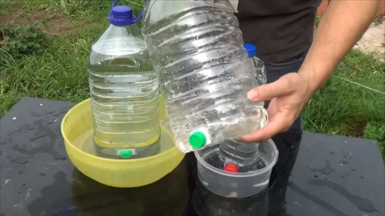 Fabriquer un abreuvoir à poules : 3 modèles DIY gratuits