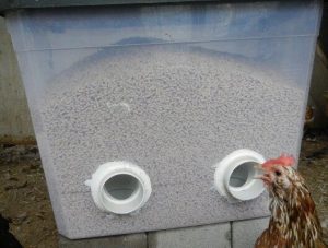 Lire la suite à propos de l’article Comment fabriquer une mangeoire pour les poules ?
