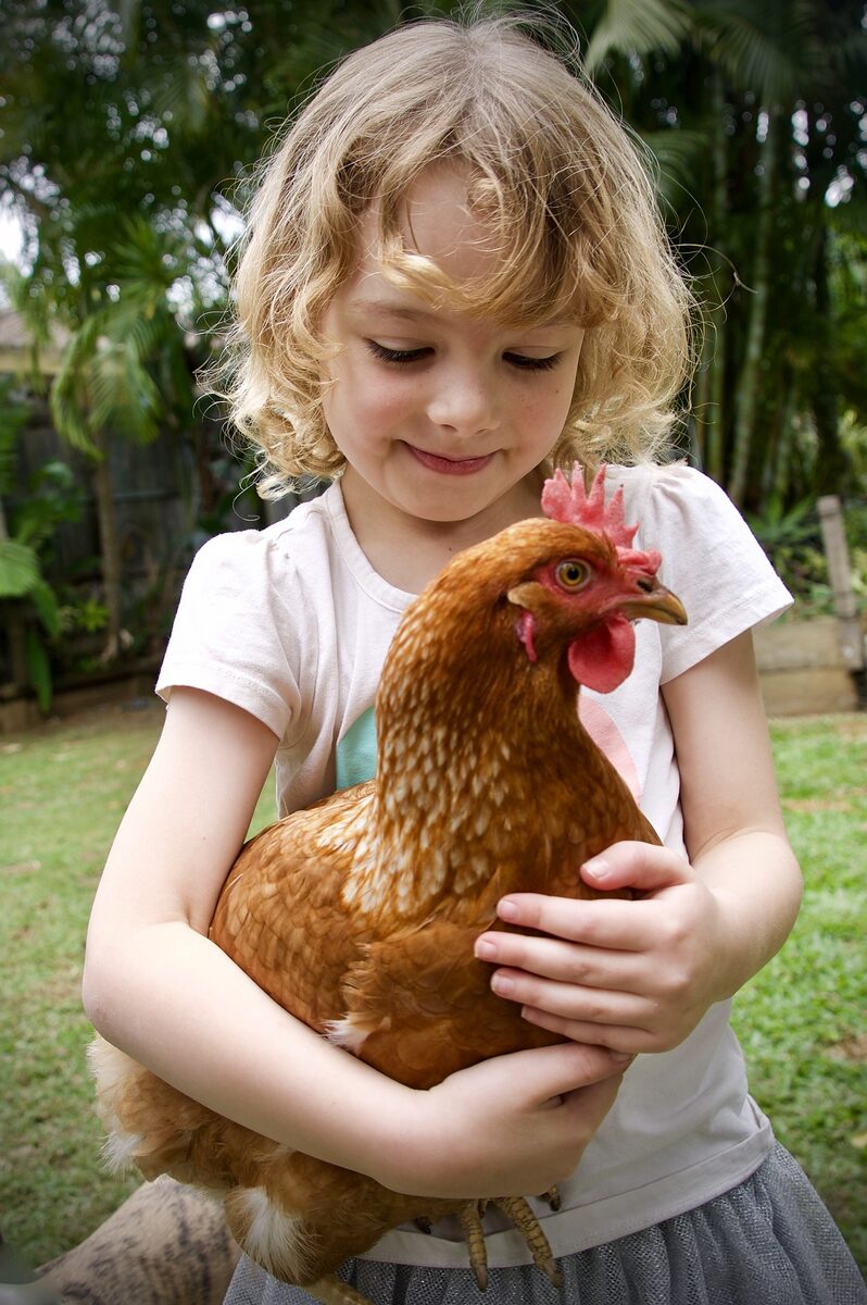 Enfant qui joue avec une poule dans un jardin
