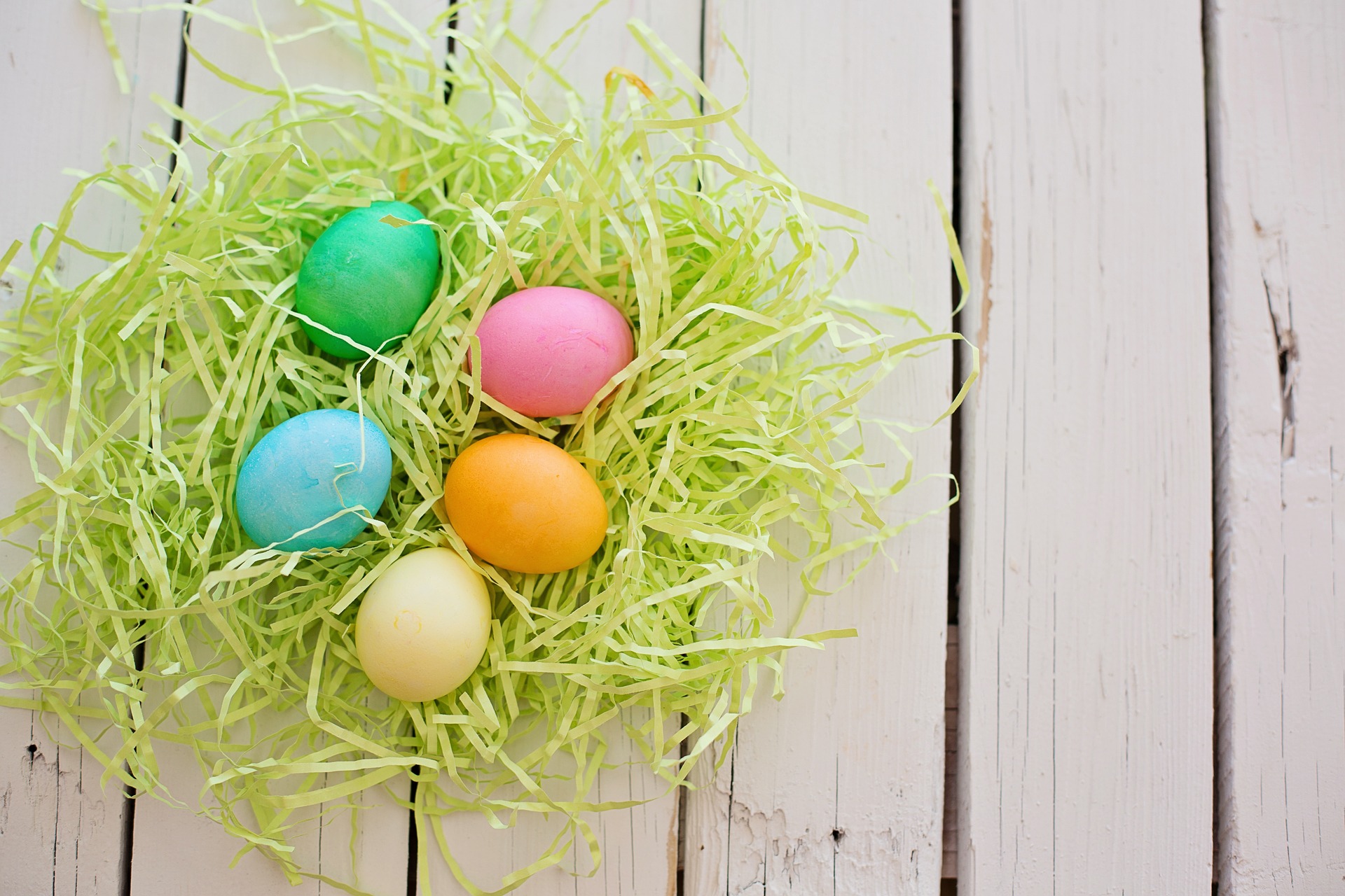 Oeufs de poules de différentes couleurs : blanc, brun, bleu et vert