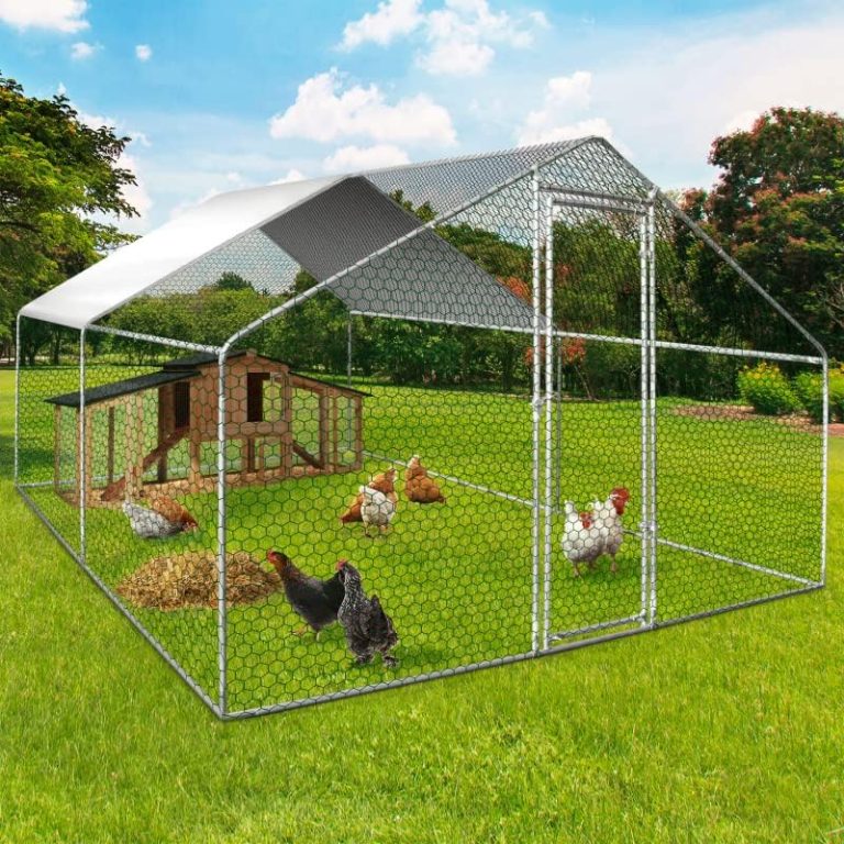 Sitemapcdatahttpsshopinf Inetcomgrillage A Poule Bricomarchenull