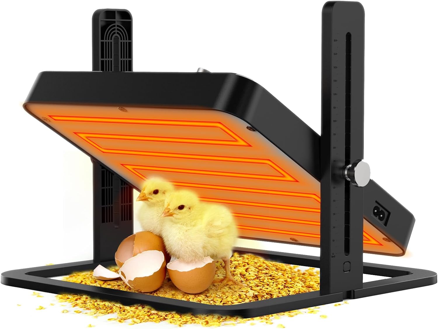 plaque chauffante poussins guide