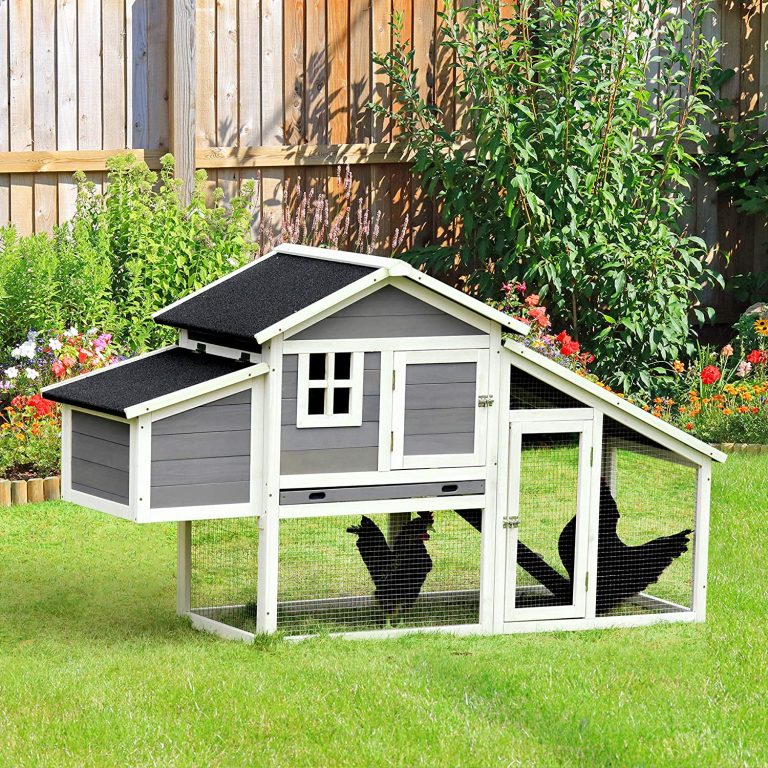 Meilleurs Poulaillers pour 2 Poules : 5 Modèles Comparés
