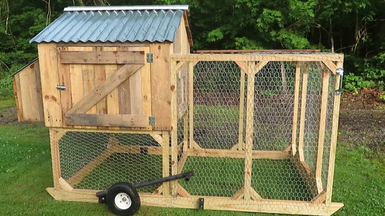 Construire un poulailler en palette : guide DIY pas à pas