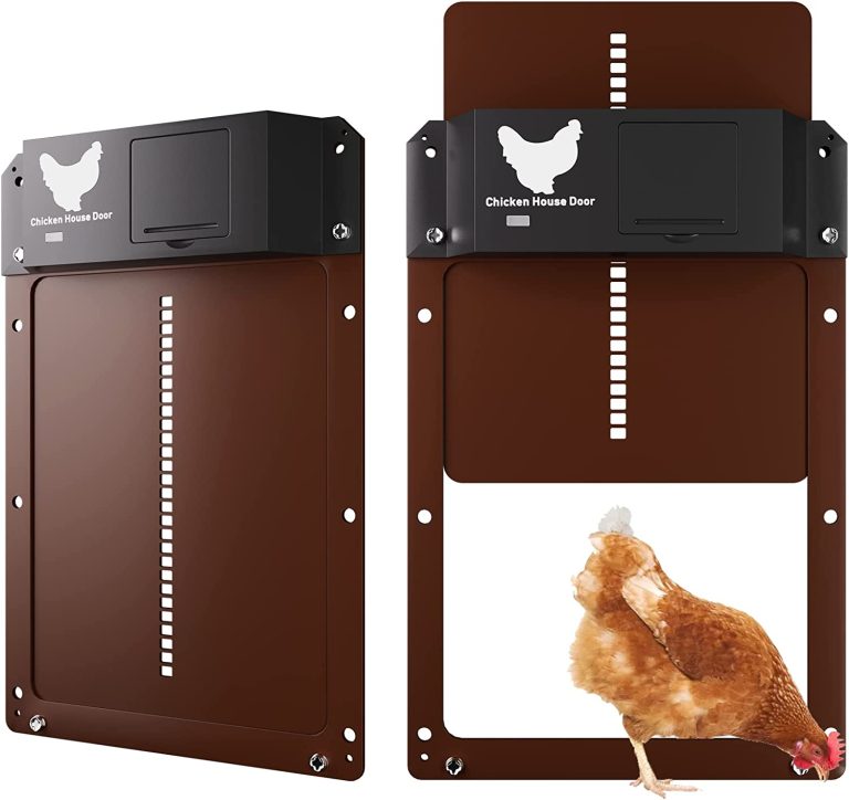 Porte Automatique pour Poulailler Yoarmyt : Avis et test