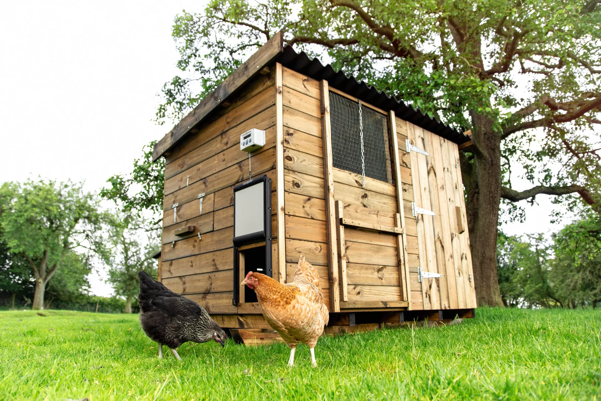 Installation d'un kit de porte automatique solaire sur un poulailler en bois