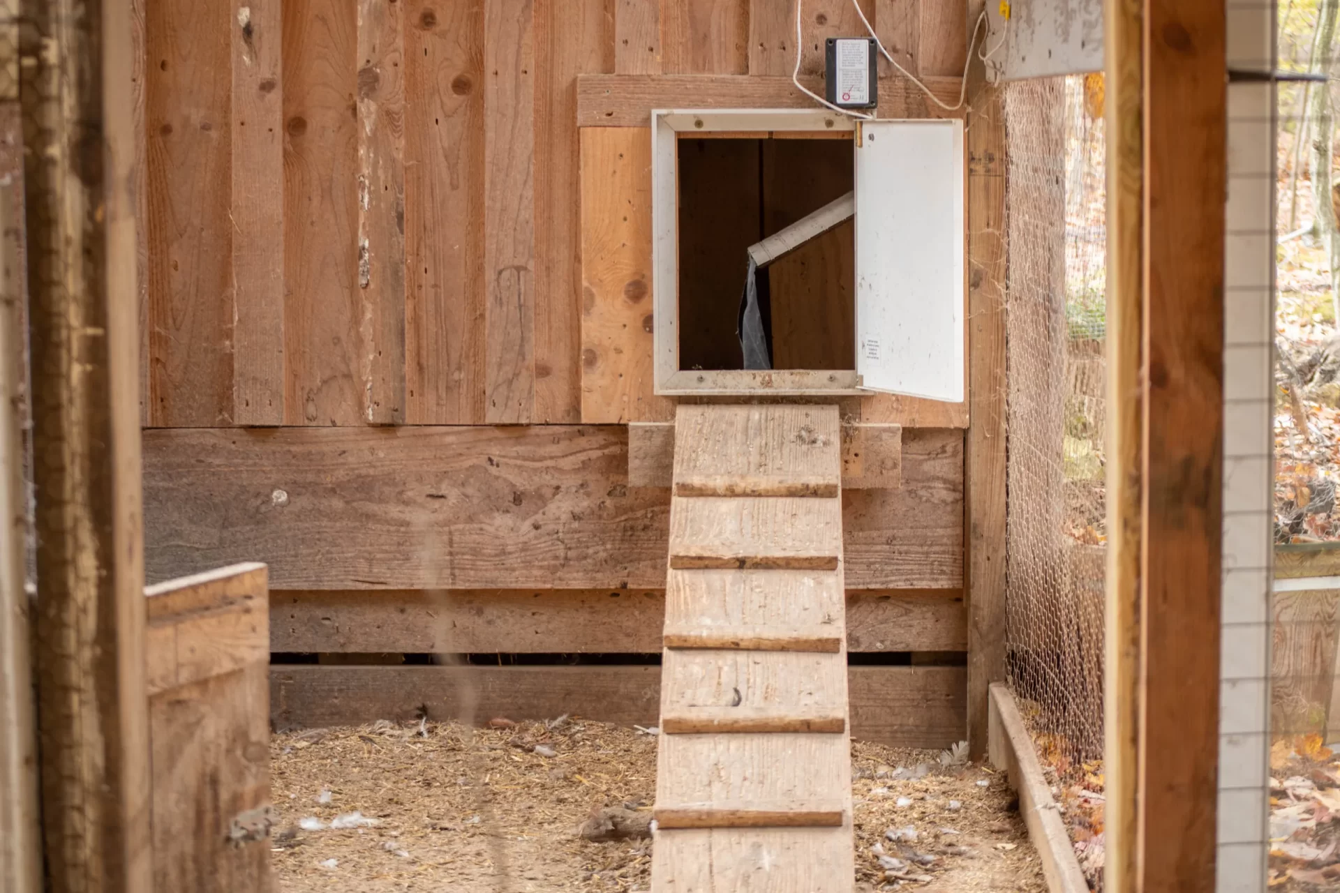 Fonctionnement d'une porte automatique solaire pour poulailler avec panneau et capteur
