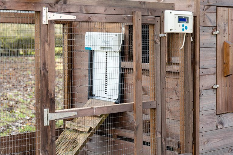 Porte automatique solaire pour poulailler : fonctionnement et choix