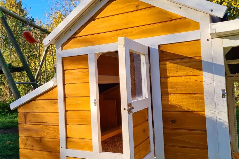 Poulailler en bois traité dans un jardin
