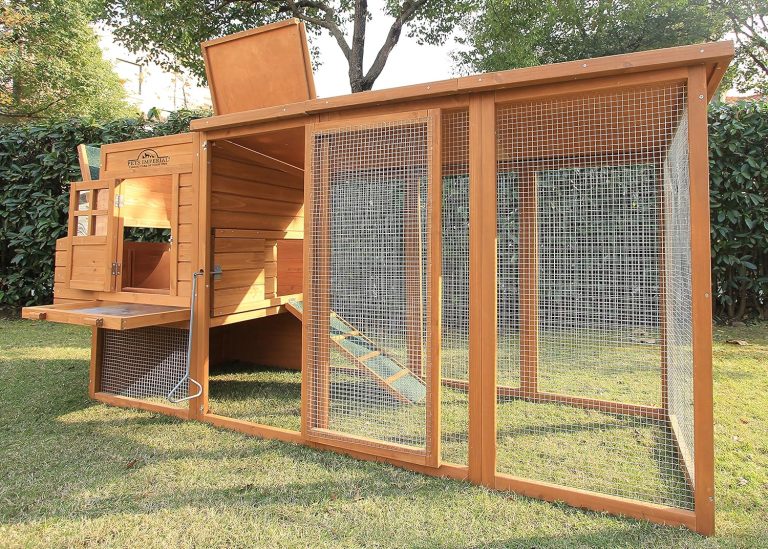Meilleurs Poulaillers pour 4 Poules : 5 Modèles Comparés