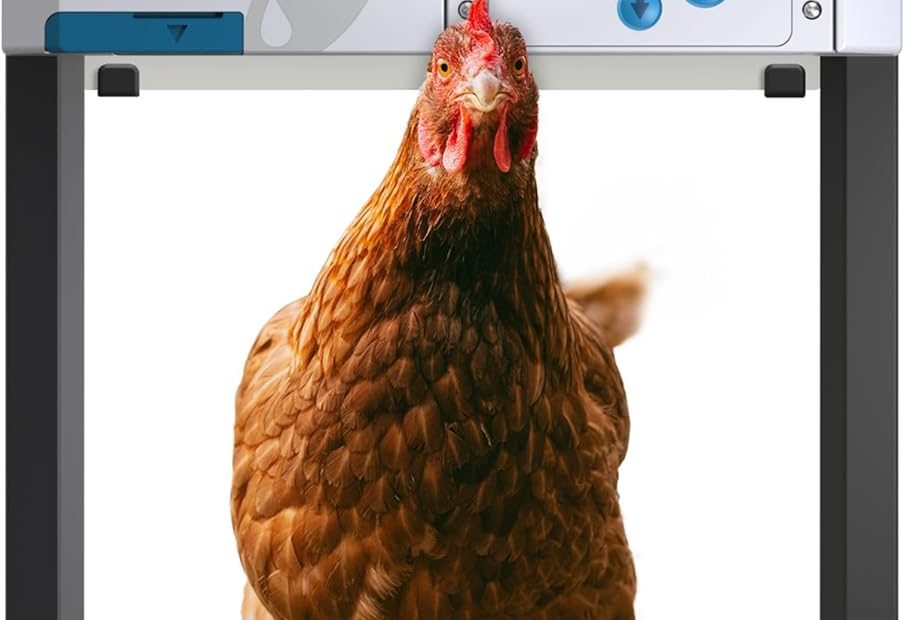 ChickenGuard all in one porte automatique poulailler 1