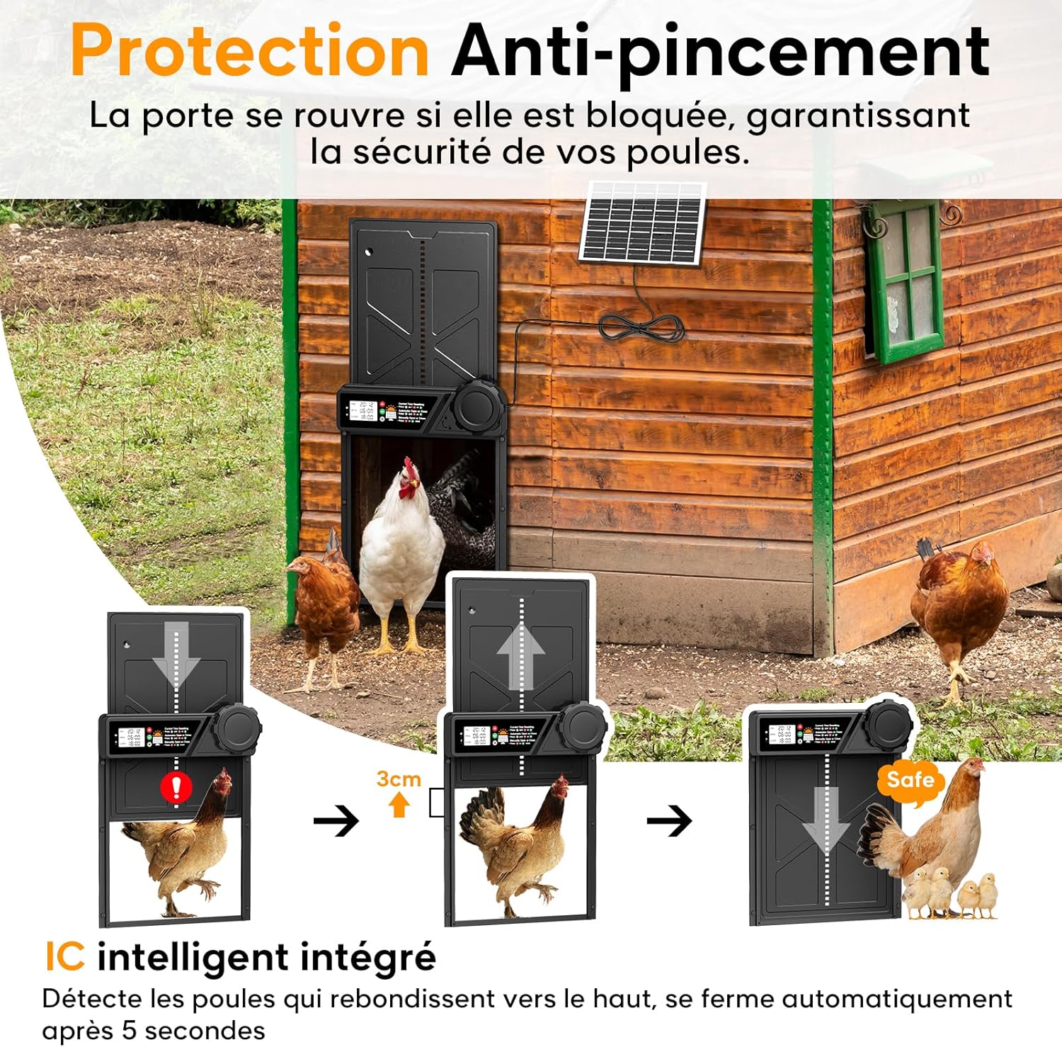 Porte automatique poulailler MASTERFUN solaire 4