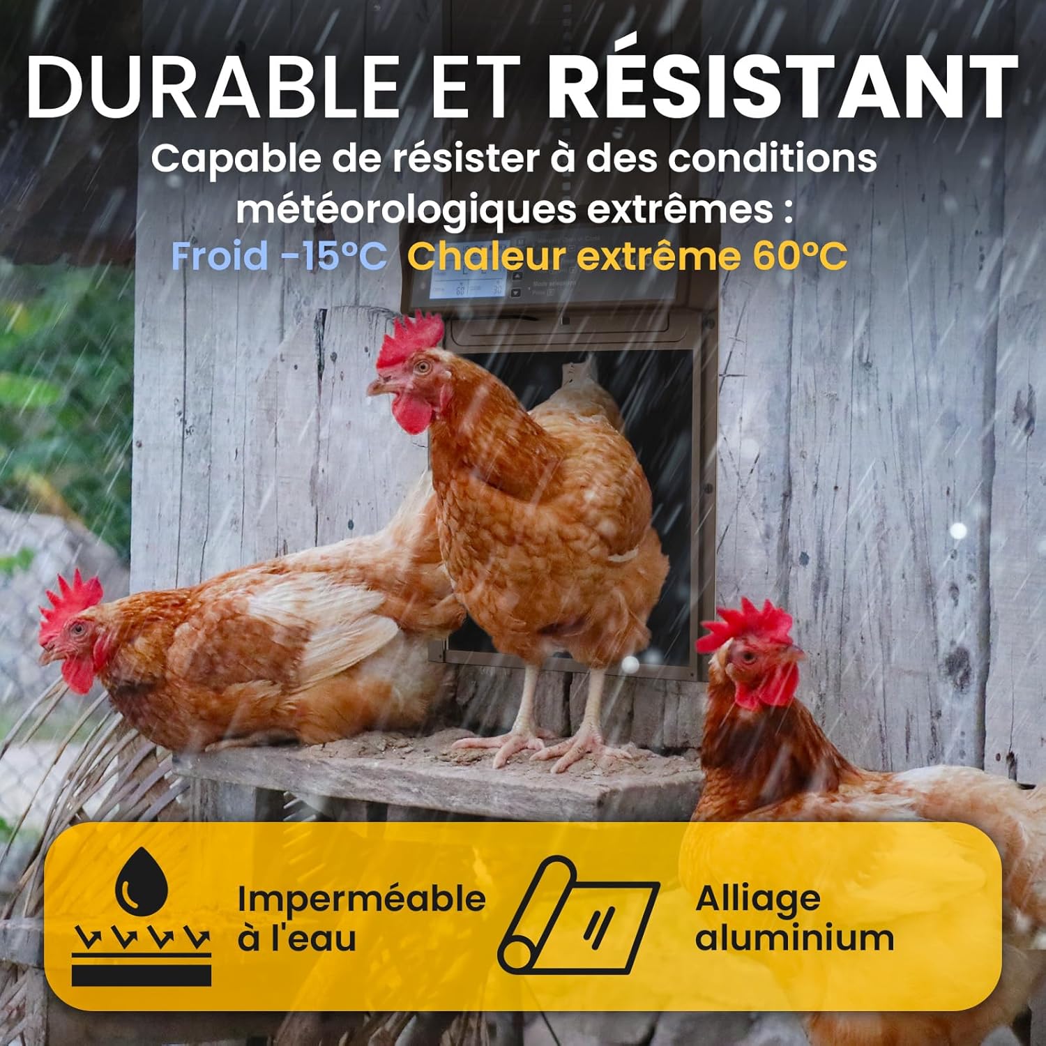 Porte automatique Okkobi résistante intempéries poulailler