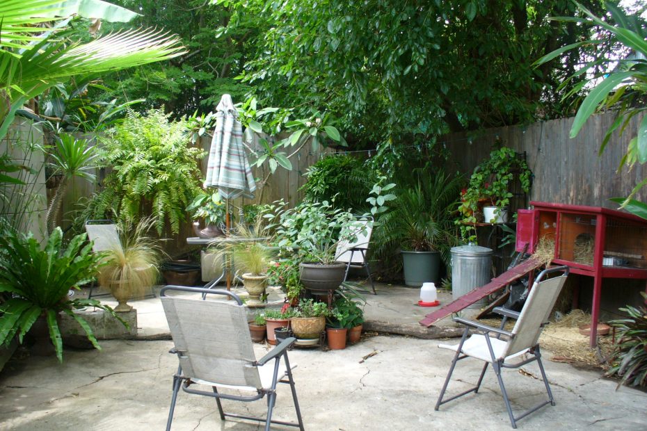 Petit poulailler de jardin sans déclaration nécessaire
